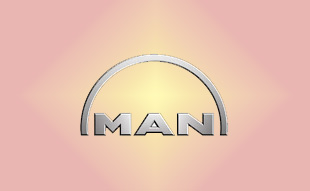 ✓ MAN 51.01114.6087 Запчасти МАН (MAN) 