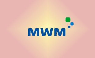 ✓ MWM 6.0650.01.0.0004 Амортизатор расширительного бака  